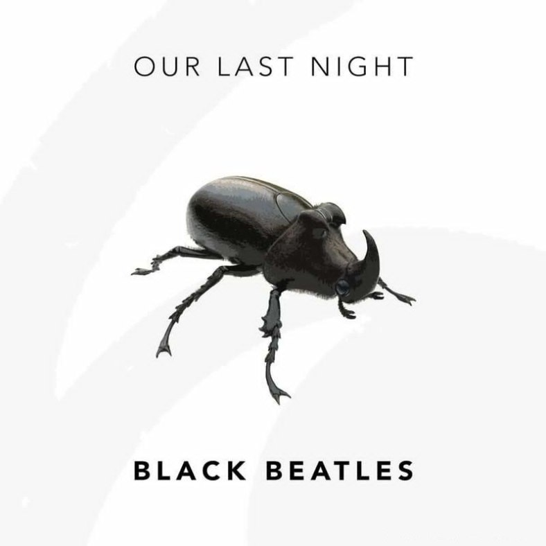 our-last-night-black-beatles