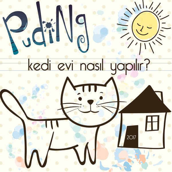 puding-kedi-evi-nasil-yapilir-2017-single