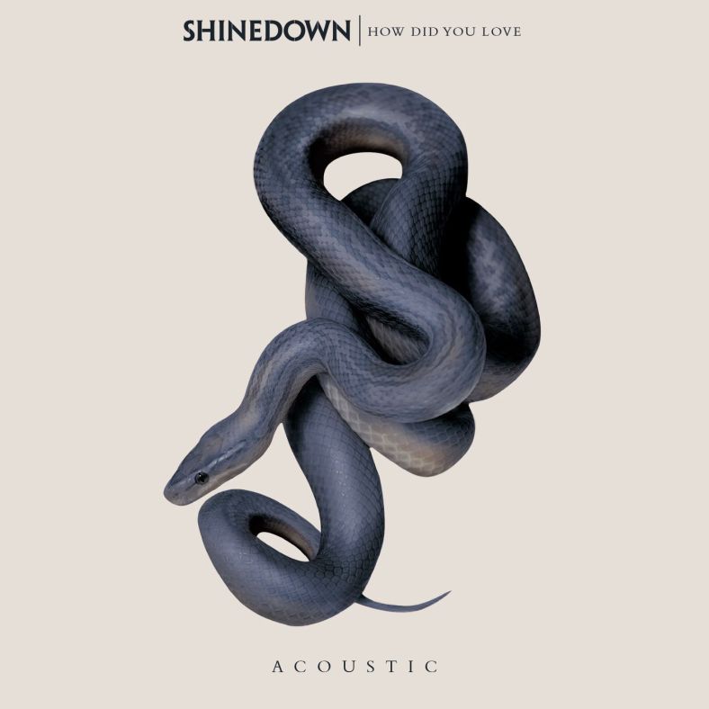 shinedown-how-did-you-love-acoustic-single-2017