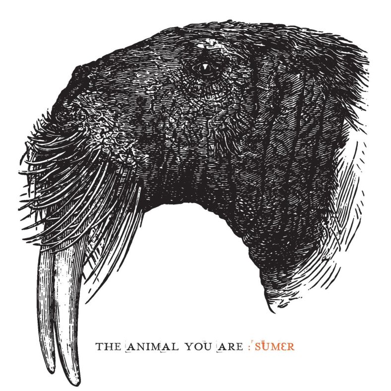 sumer-the-animal-you-are-2014