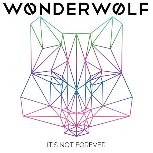 wonderwolf-its-not-forever