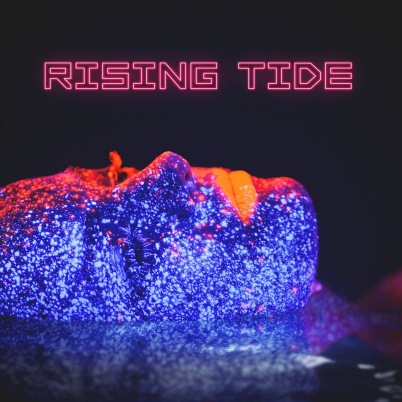 ember-falls-rising-tide