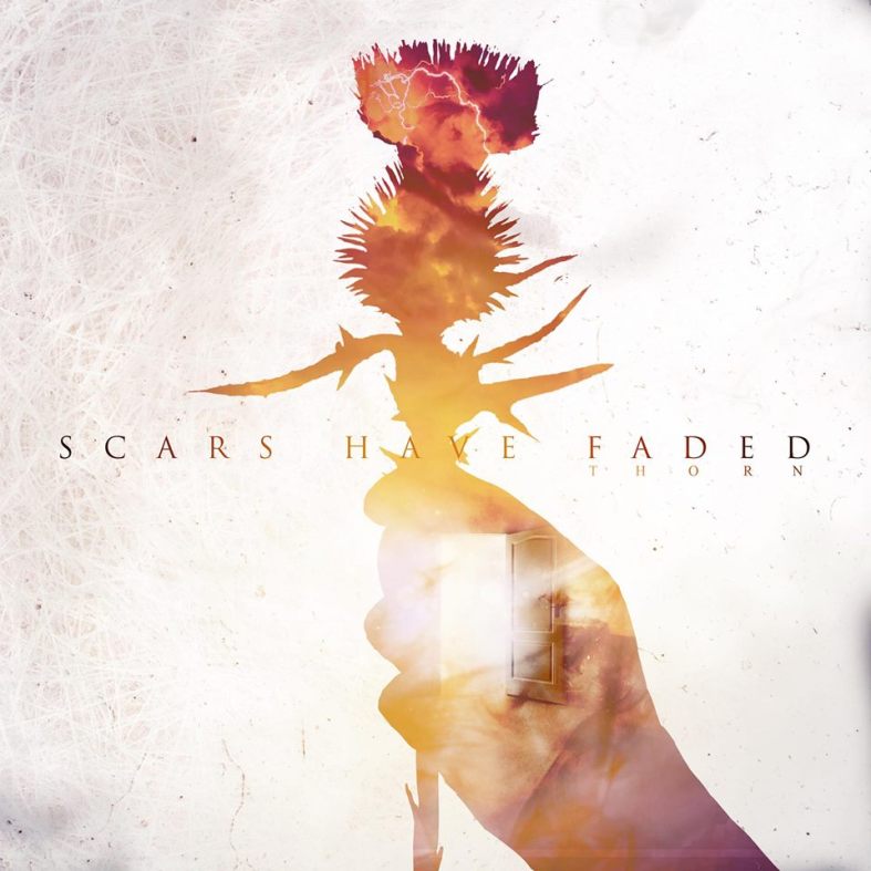 scars-have-faded-thorn
